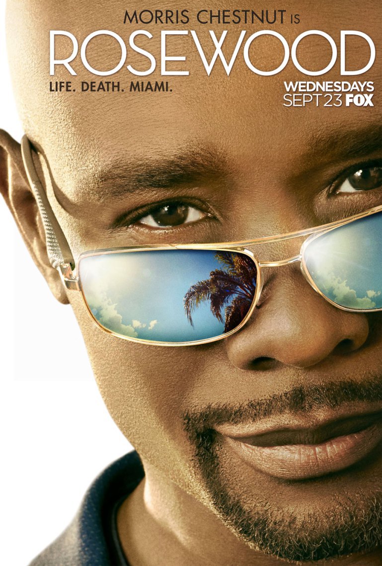 Rosewood: Season Two,  Episode Three   (Recap/Review)