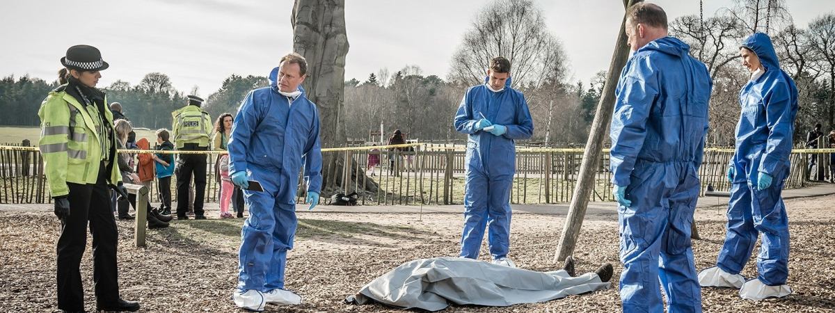 Paranoid: A Slow Boil  (Review)