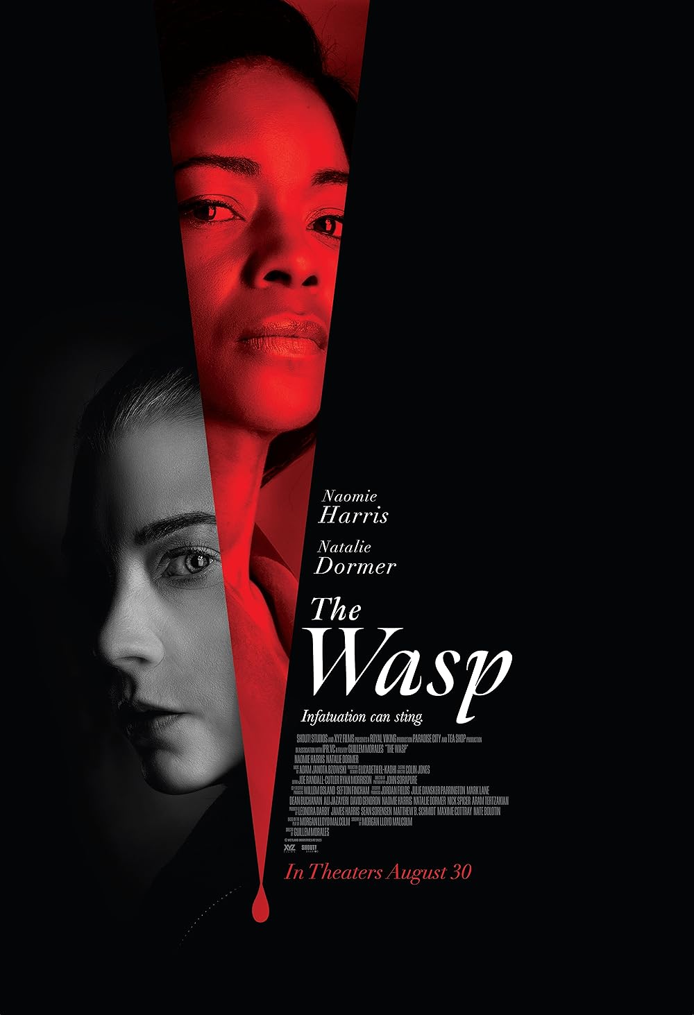 The Wasp (2024): The Sting is in the Tale